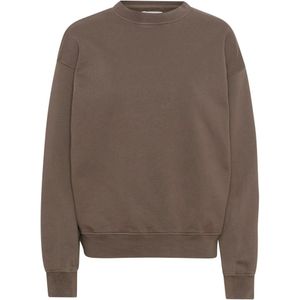 Sweatshirt ronde hals Colorful Standard Organic oversized cedar brown