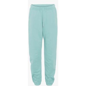 Jogging Colorful Standard Organic Teal Blue