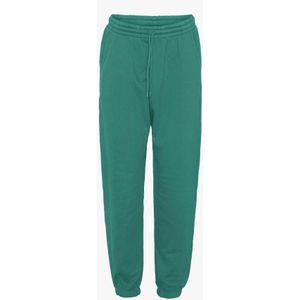 Jogging Colorful Standard Organic Pine Green