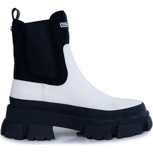 Leren dameslaarzen Steve Madden Triumphal