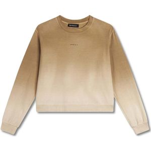 Vrouwen sweatshirt in gradient jersey Freddy
