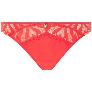 Dames string Morgan Claudia