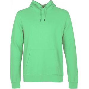 Hooded sweatshirt Colorful Standard Classic Organic spring green
