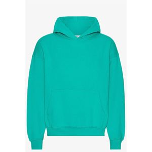 Oversized sweatshirt met capuchon Colorful Standard Tropical Sea