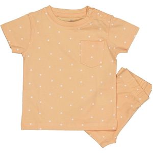 Shorty - Rosa