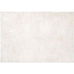 Shaggy hoogpolig tapijt - 200 x 300 cm - Wit - MILINIO