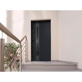 Voordeur van massief en roestvrij staal H207 x B100 cm - Gerookt glas - Zwart en antraciet - Draait rechts open - BRAGA