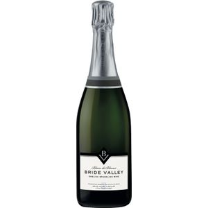 Bride Valley Blanc de Blancs Brut 2017