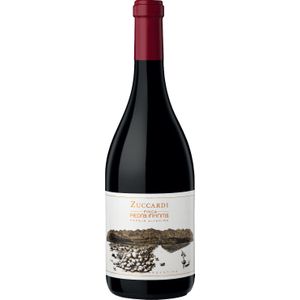 Zuccardi Finca Piedra Infinita 2019