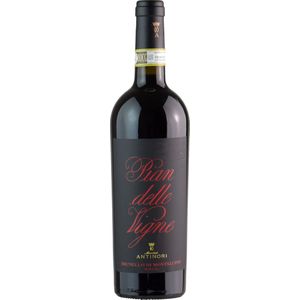 Antinori  Pian delle Vigne Brunello di Montalcino 2017