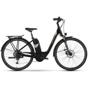 raymon cityray e 6 0 se elektrische stadsfiets shimano nexus 5s 500wh 700mm zwart 2024