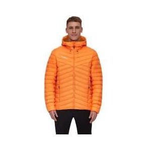 mammut albula in capuchonjas oranje