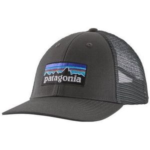 patagonia p 6 logo lopro trucker hat grey