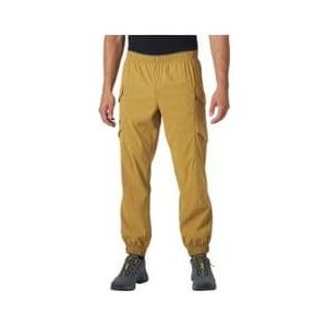 helly hansen vista hike pants brown