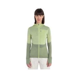 icebreaker women s merino 200 realfleece descender green fleece