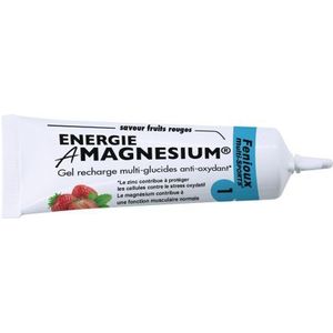 fenioux multi sports energy gel amagnesium energy antioxidant rode vruchten 35 g