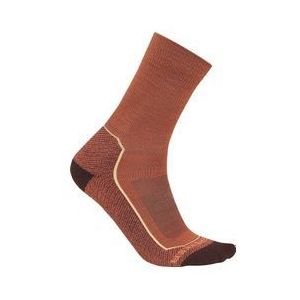 icebreaker merino hike  damessokken bruin