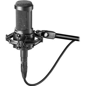 Audio-Technica 2050 Kondensatormikrofon mit Umschaltbaren Richtcharakteristika Schwarz