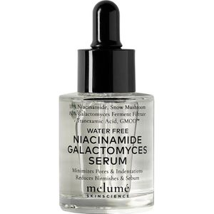 melumé - Water-free Niacinamide Galactomyces Serum Anti-aging serum 30 ml Dames