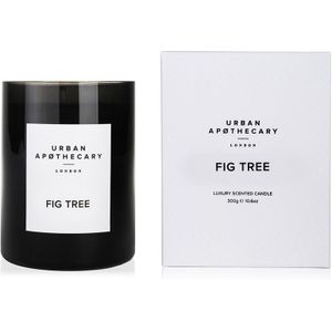 Urban Apothecary - Luxury Boxed Glass Candle Fig Tree Kaarsen 300 g