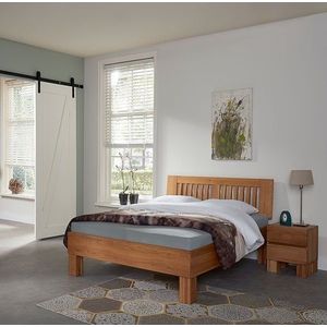 Beuken Premium Vidin