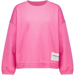 The Shirt Project Sweater Roze dames