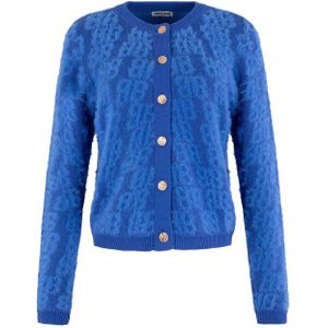 Anna Blue Vest Tweedy Blauw dames