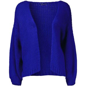 Kobaltblauwe Dames truien kopen? | Nieuwe collectie | beslist.nl