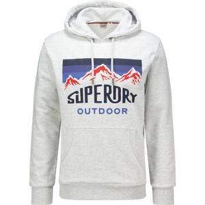 Superdry Hoodie Overhead Grijs heren