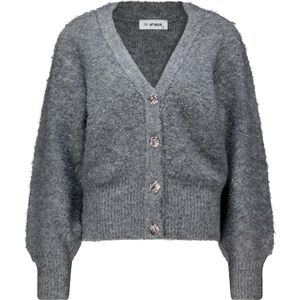 In Shape - Vest Ivana - Dames Vest - Grijs