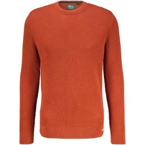 Superdry Trui Rood heren