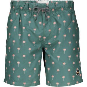 Shiwi swim shorts scratch palm Groen heren