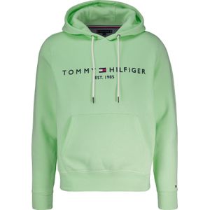 Tommy Hilfiger Hoody Tommy Logo Groen heren