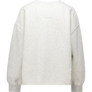 The Shirt Project Sweater Grijs dames