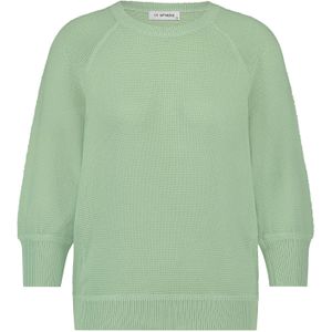 In Shape Pullover Odile Raglan Groen dames