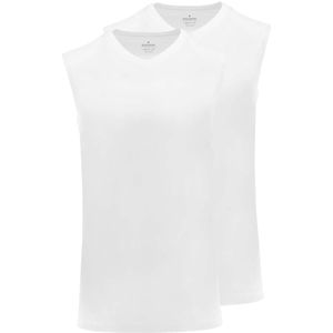 RAGMAN T-Shirt V-hals Dubbel pak wit, Effen