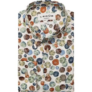 Ledȗb Overhemd wit, Motief