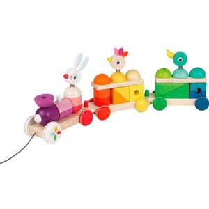 Janod Zigolos Multicolour Trektrein