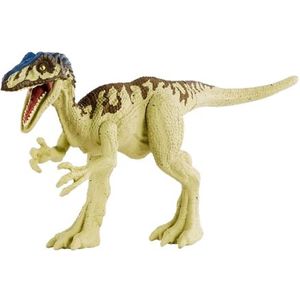Jurawereldkamp Krijt - Coelurus