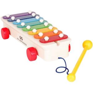 Fisher Price Trek-Een-Tune Xylofoon