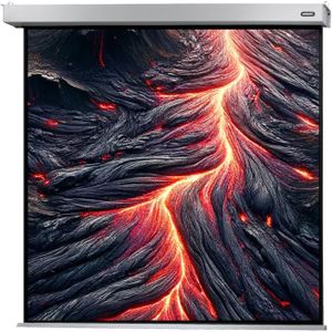 celexon Leinwand Motor Professional Plus 220 x 220 cm