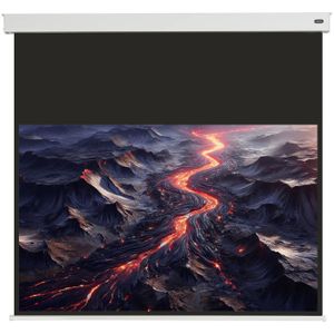 celexon Batterie Leinwand V2.0 Motor Professional Plus 220 x 124 cm