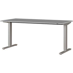 Zit sta bureau Agenda B160xH72-120xD80 cm in lichtgrijs met zilver