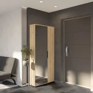 Schoenenkast met spiegels 2 vouwdeuren 67x63x17 cm wit | premiumXL