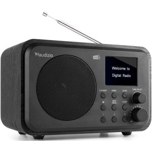 Audizio Milan draagbare DAB radio met Bluetooth, FM radio en accu - Zwart (hout)