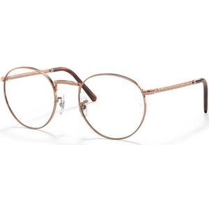 Ray-Ban NEW ROUND RX3637V