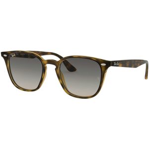 Ray-Ban RB4258