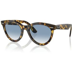 Ray-Ban RB2241