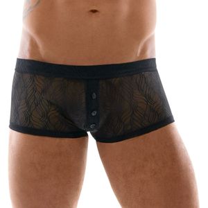 Pants aus weicher elastischer Spitze