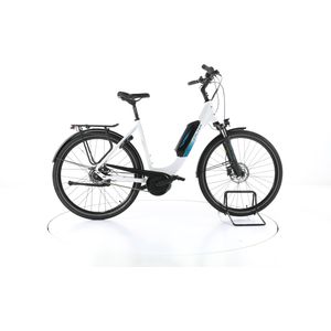 FALTER E 9.0 City E-Bike Tiefeinsteiger